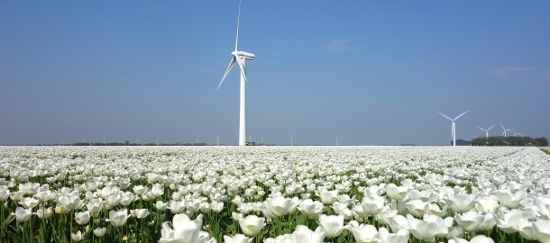 Flevoland windmolen.jpg