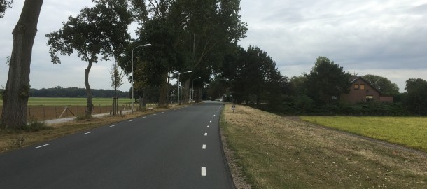 Duinpolderweg bij Vogelenzang
