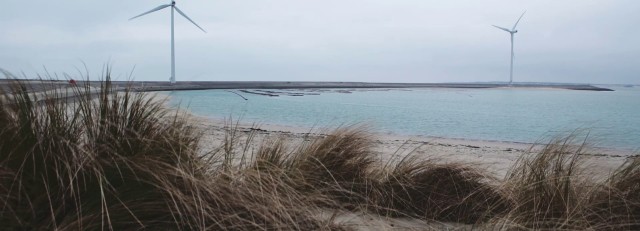 Windmolens aan het water