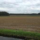Groene Hart