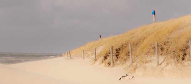 Strandbanner