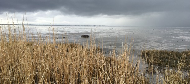 Waddenzee